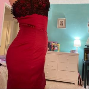 NWT Bebe Dress Size XS